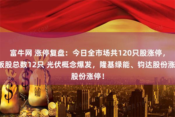 富牛网 涨停复盘：今日全市场共120只股涨停，连板股总数12只 光伏概念爆发，隆基绿能、钧达股份涨停！