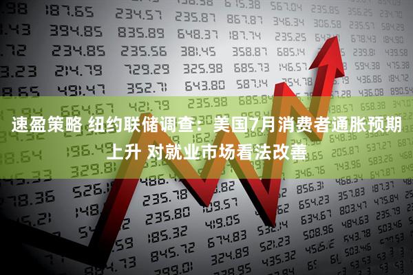 速盈策略 纽约联储调查：美国7月消费者通胀预期上升 对就业市场看法改善