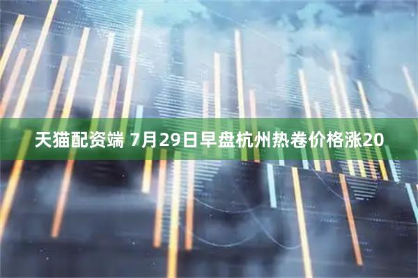 天猫配资端 7月29日早盘杭州热卷价格涨20